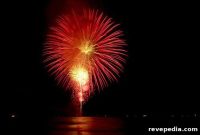 2012: A Look Back at the Year That Changed Everything