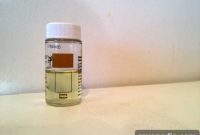 How to Test for Lead-Based Paint at Home: A Practical Guide