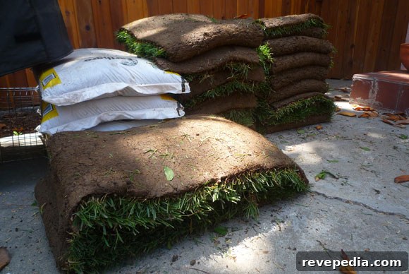 lawn-sod.jpg