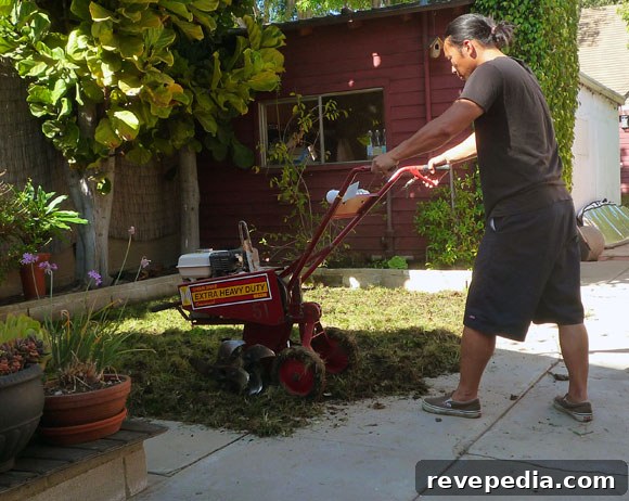 tilling-lawn.jpg