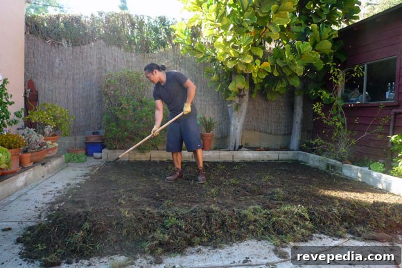 raking.jpg