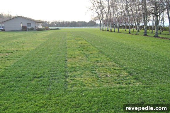 Visiting the Grass Seed Capital: Growing Seed for Your Farm 2 nexgen-testing.jpg