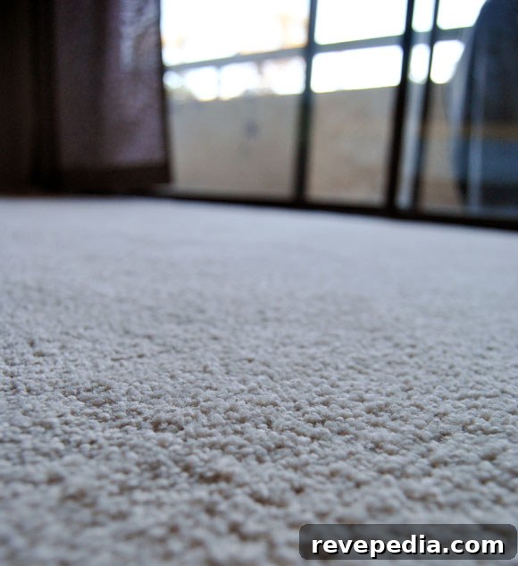 stainmaster-closeup.jpg