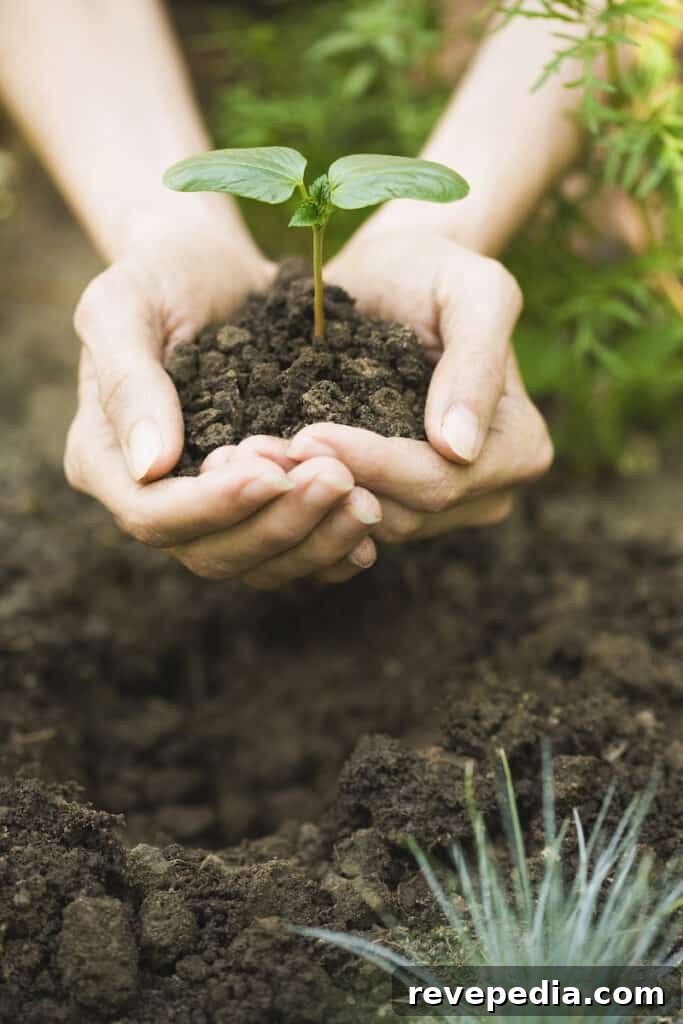 Celebrate Earth Day with Greenworks: Eco-Friendly Lawn & Garden Tools 3 img 24251 2