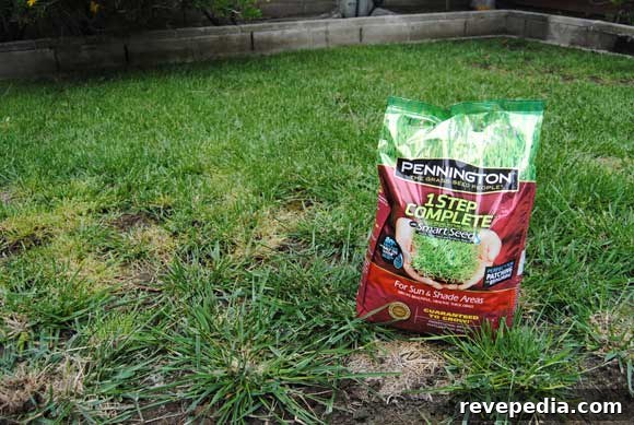 One-Step Fix for Patchy Lawn: Restore Grass Fast 4 lawn-one-step-bag.jpg