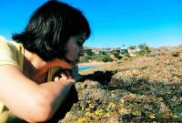 Responsible Tide Pool Exploring: A Guide to Safe, Low-Impact Visits
