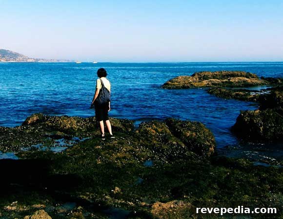Responsible Tide Pool Exploring: A Guide to Safe, Low-Impact Visits 3 tidepools.jpg