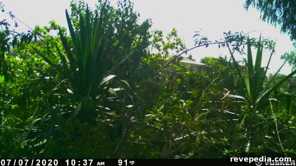 Vosker V200 LTE Outdoor Wireless Security Camera Review 14 img 24601 14