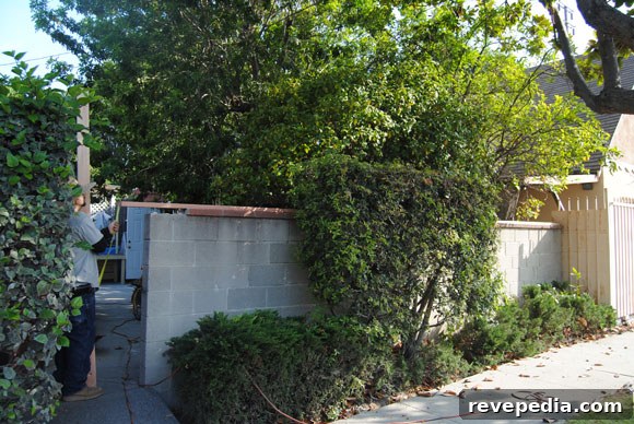 fence-before.jpg