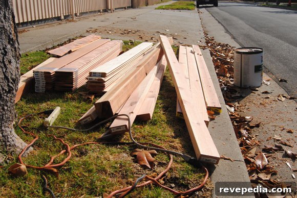 redwood.jpg