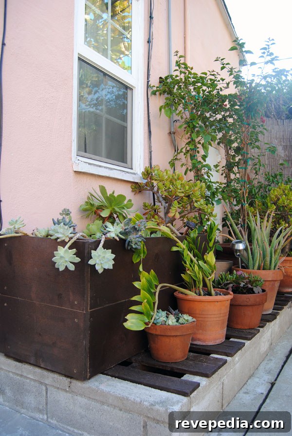 Lowe’s Backyard Makeover: Transform Your Outdoor Living Space 16 lowes-planters.jpg