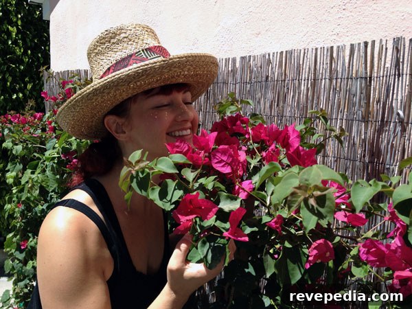 Lowe’s Backyard Makeover: Transform Your Outdoor Living Space 6 laura-flowers.jpg