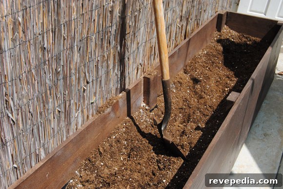 peatmoss-vermicilite-soil.jpg