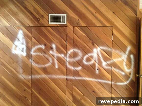 Restoring a Mid-Century Ranch Home in Las Vegas 4 graffiti.jpg