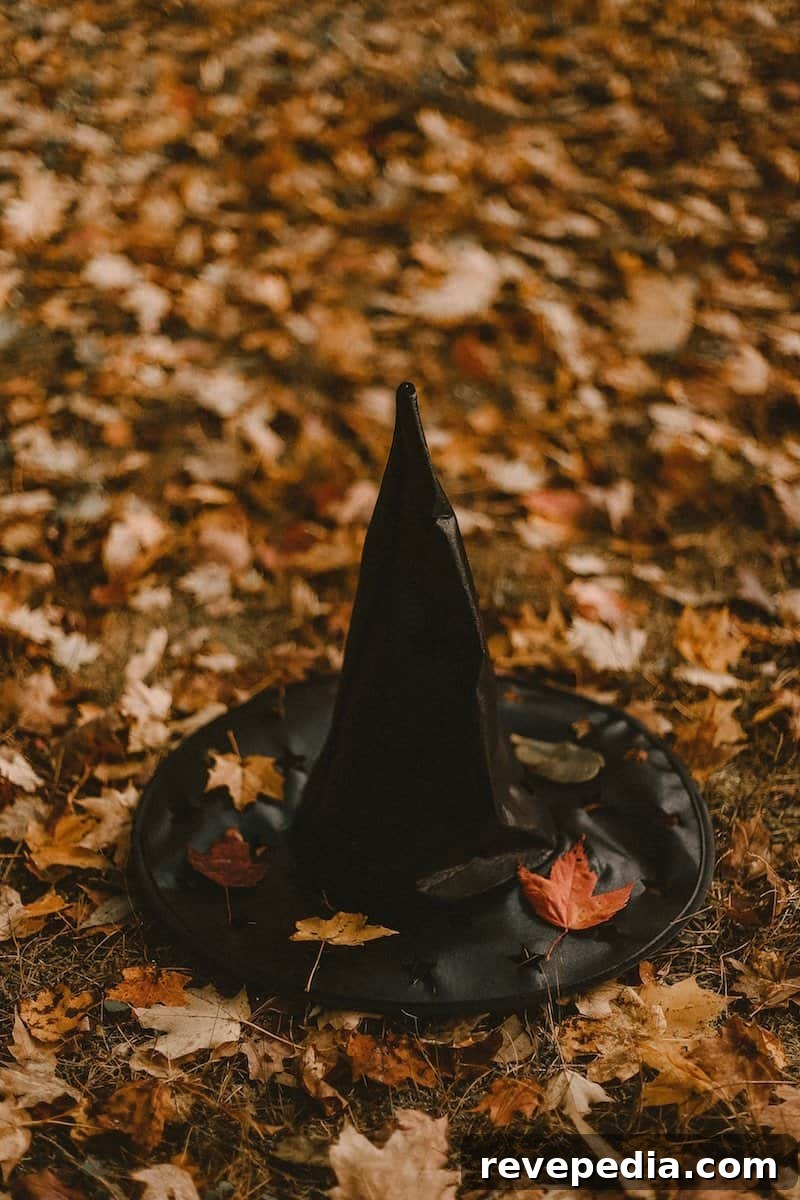 witch hat