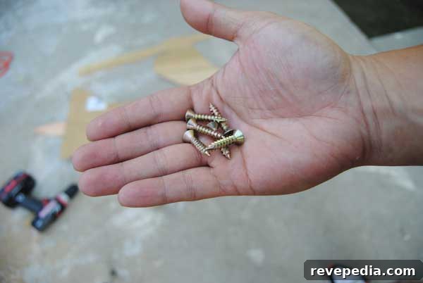 screws