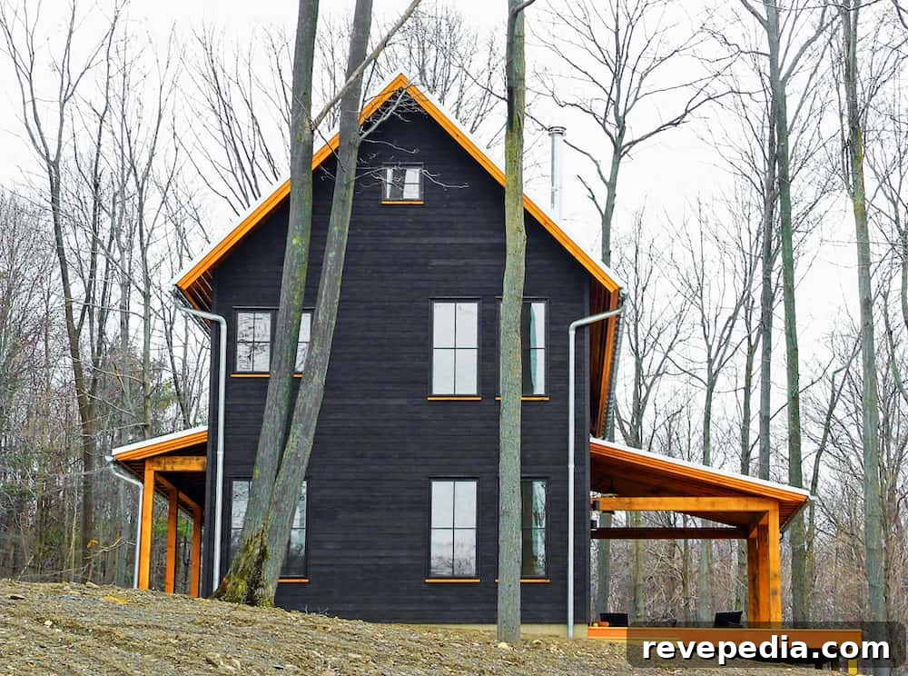 Nakamoto Charred Wood Siding: Timeless Beauty and Durability 11 img 25147 10