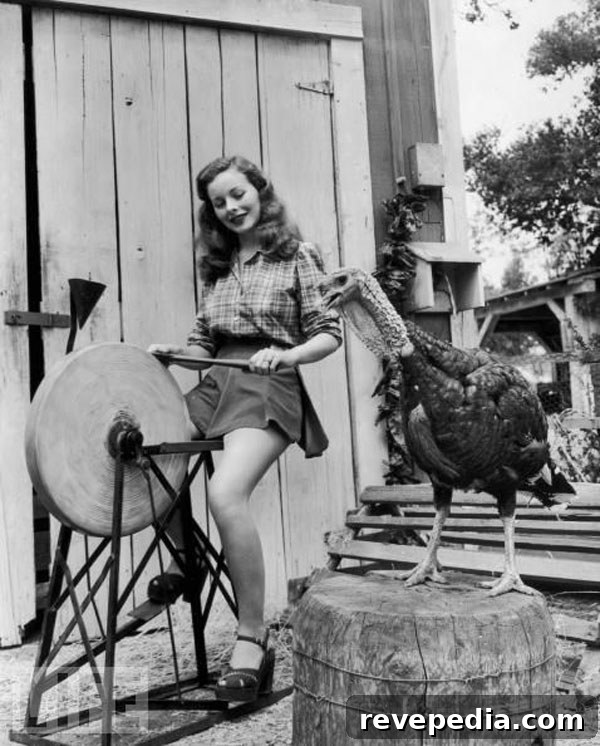 Celebrate Thanksgiving: Festive Ideas and Family Traditions 3 vintage-thanksgiving-pinupgirl.jpg