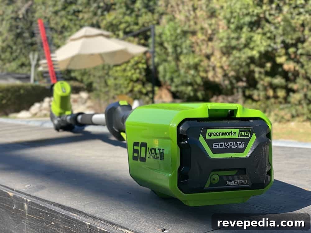 pole hedge trimmer