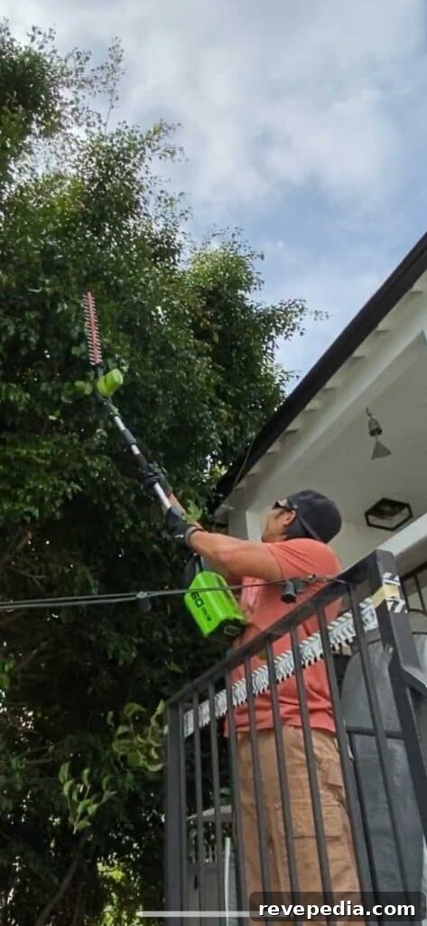 using pole hedge trimmer from ground