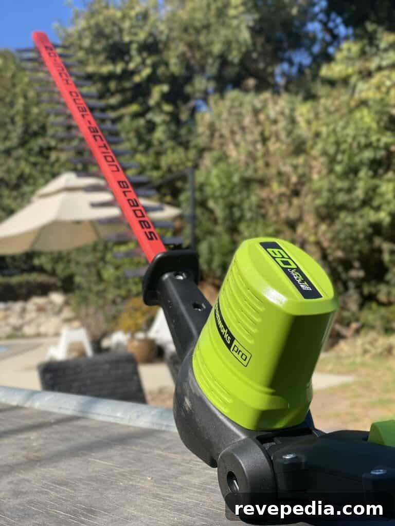 extended reach pole trimmer