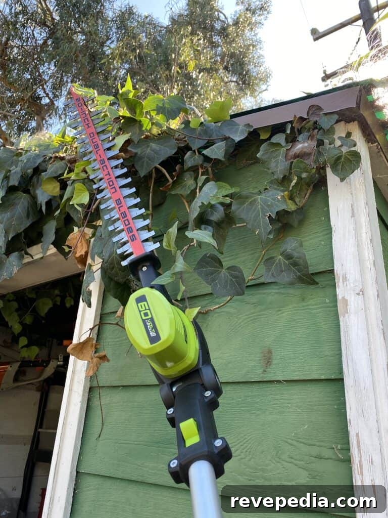 pole hedge trimmer closeup