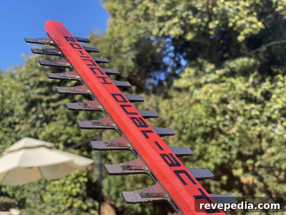 telescoping pole hedge trimmer