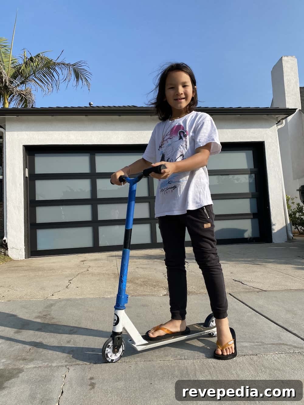 img 25556 2