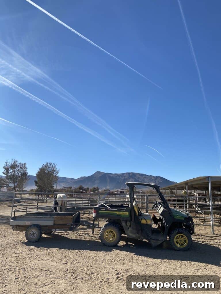 John Deere’s New Gator: Rugged Utility Vehicle Built for Work 3 img 26060 2