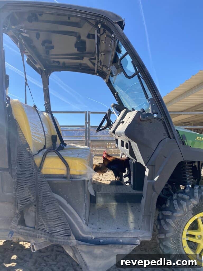 John Deere’s New Gator: Rugged Utility Vehicle Built for Work 6 img 26060 5