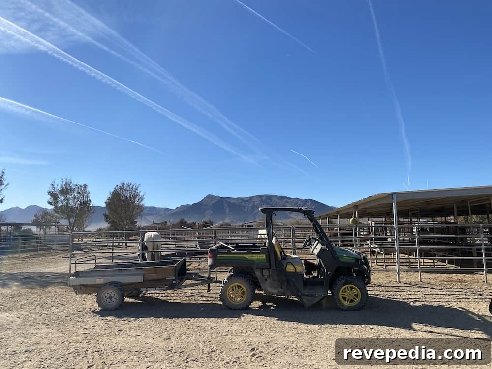 John Deere’s New Gator: Rugged Utility Vehicle Built for Work 10 img 26060 9
