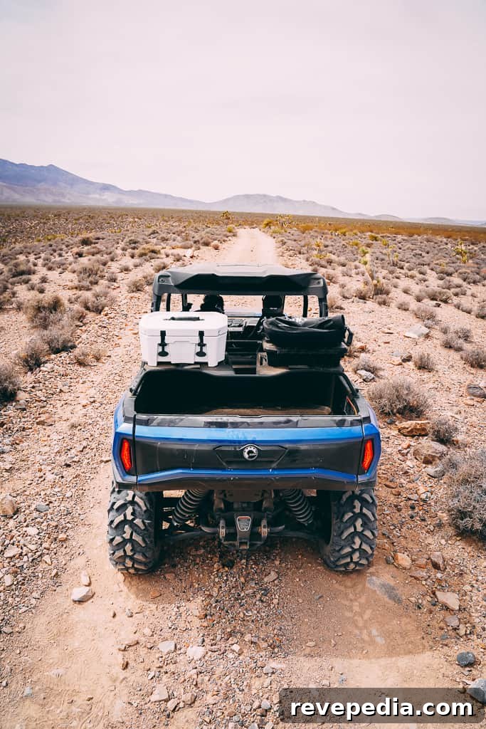 Can-Am Commander Side-by-Side: Built for Work and Weekend Fun 11 img 26215 14