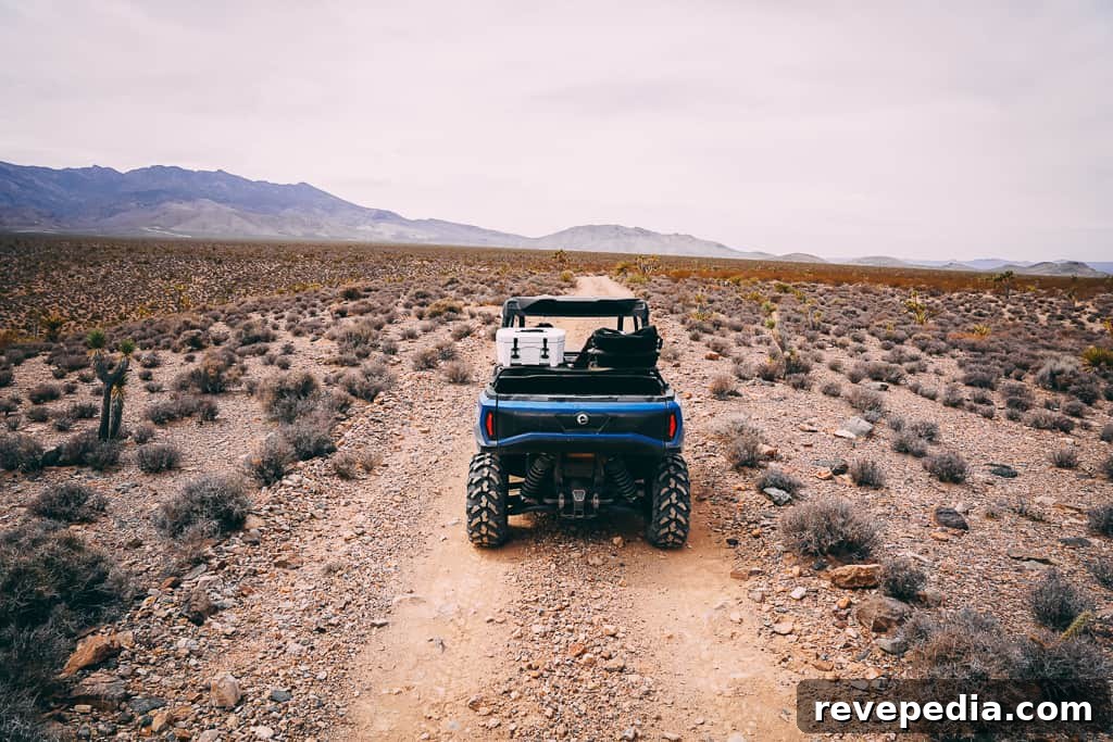 Can-Am Commander Side-by-Side: Built for Work and Weekend Fun 16 img 26215 19