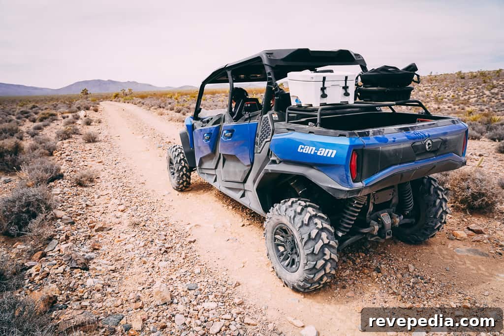 Can-Am Commander Side-by-Side: Built for Work and Weekend Fun 5 img 26215 4