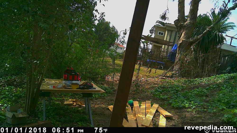 Vosker V150: Truly Wireless Security Camera for Any Location 13 VOSKER V150 monitoring backyard