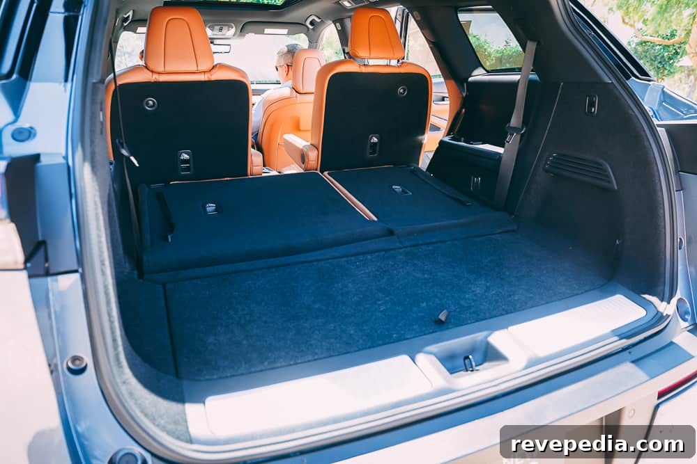 2024 Infiniti QX60: New Luxury Features and What’s Changed 38 Passenger side door open