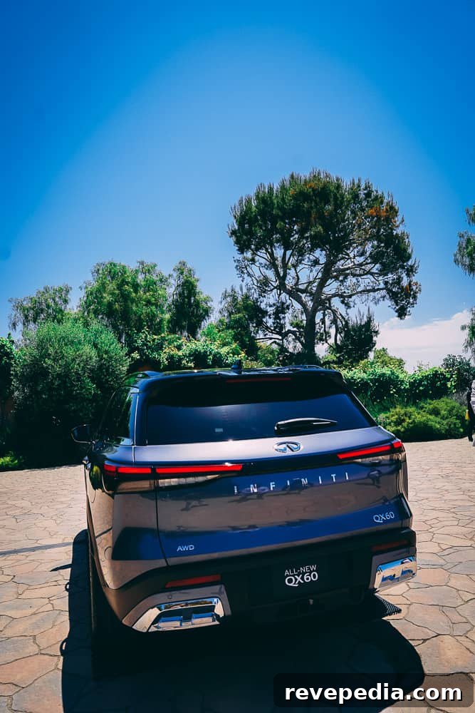 2024 Infiniti QX60: New Luxury Features and What’s Changed 44 Rear quarter window