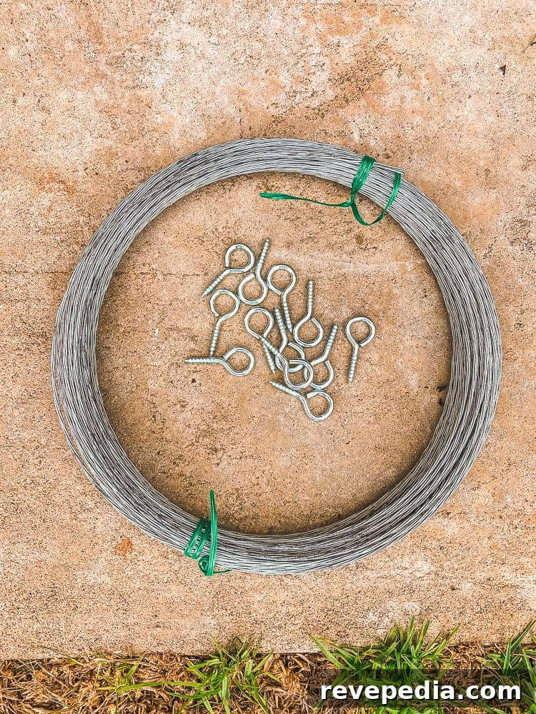 Build a Durable Wire Trellis: Step-by-Step Guide for Climbing Plants 4 img 27736 3