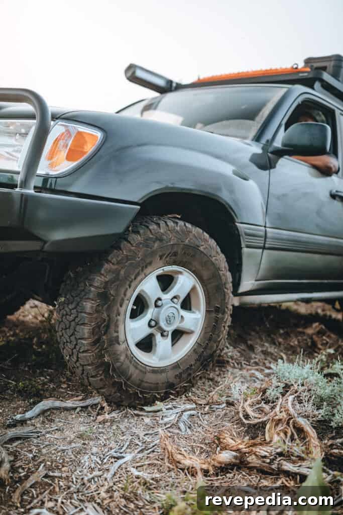 Camping in My 100 Series Land Cruiser: Bridgeport Overnights 18 img 27959 18