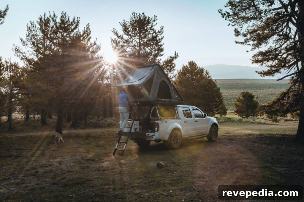 Camping in My 100 Series Land Cruiser: Bridgeport Overnights 6 img 27959 5