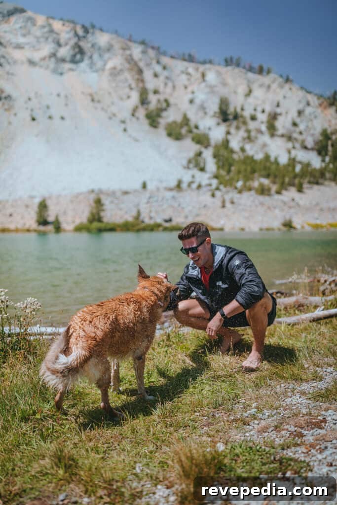 jack wolfskin

