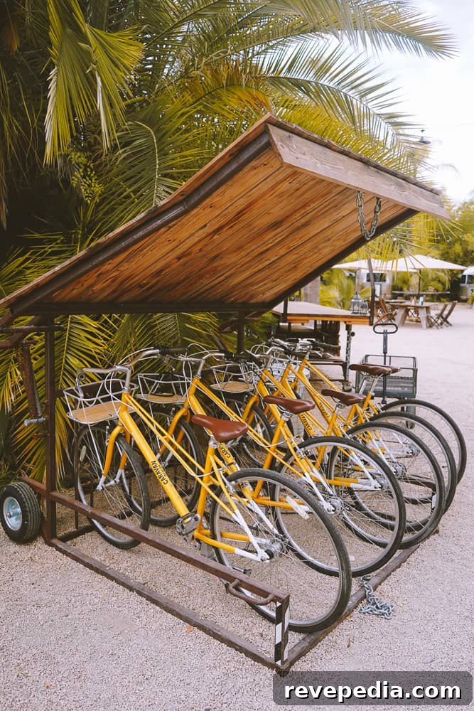 Glamp at Caravan Outpost in Ojai: Luxe Outdoor Getaway 6 Yellow rental bikes