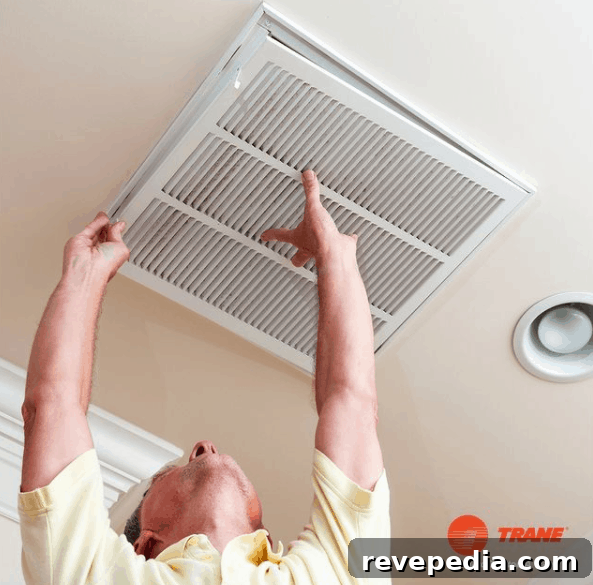 Replace Home Air Filters: Step-by-Step Guide for Faster HVAC Care 3 img 28699 2