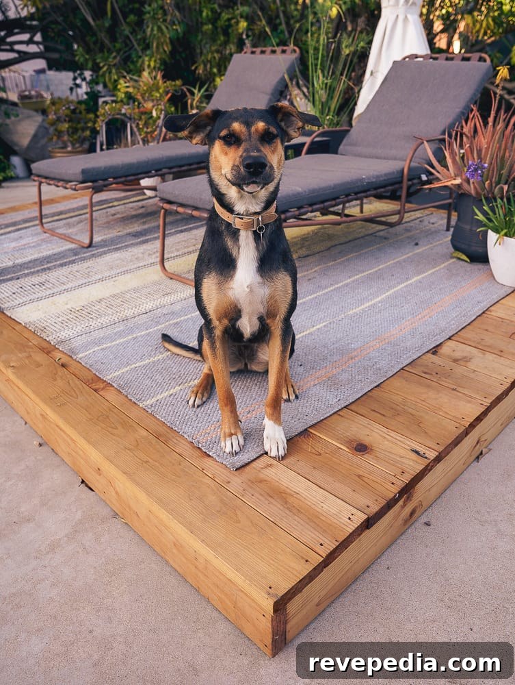 Build a Raised Redwood Deck: Step-by-Step Guide and Tips 22 img 29790 21