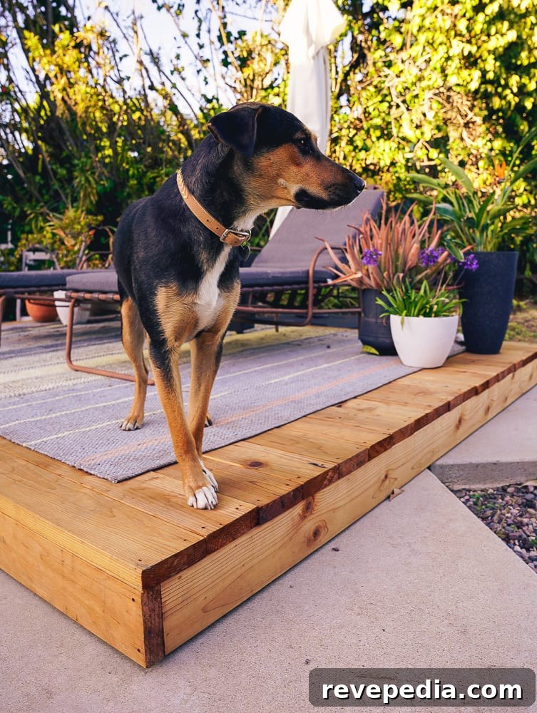 Build a Raised Redwood Deck: Step-by-Step Guide and Tips 23 img 29790 22