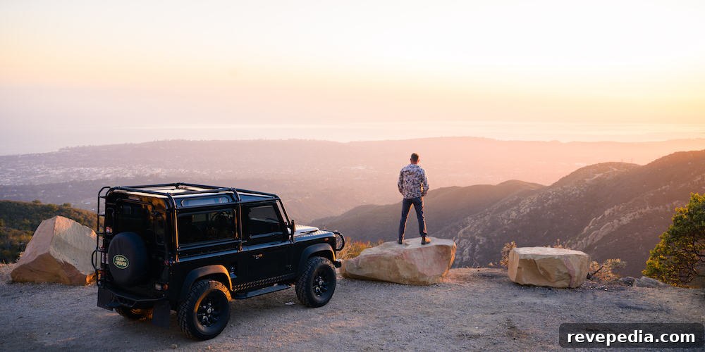 My Dream Land Rover Defender 90 Is For Sale — I Want It! 5 img 29812 4