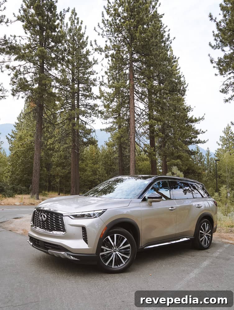 Lake Tahoe Road Trip in the Infiniti QX60: Scenic Drive Guide 11 QX60 photo 2