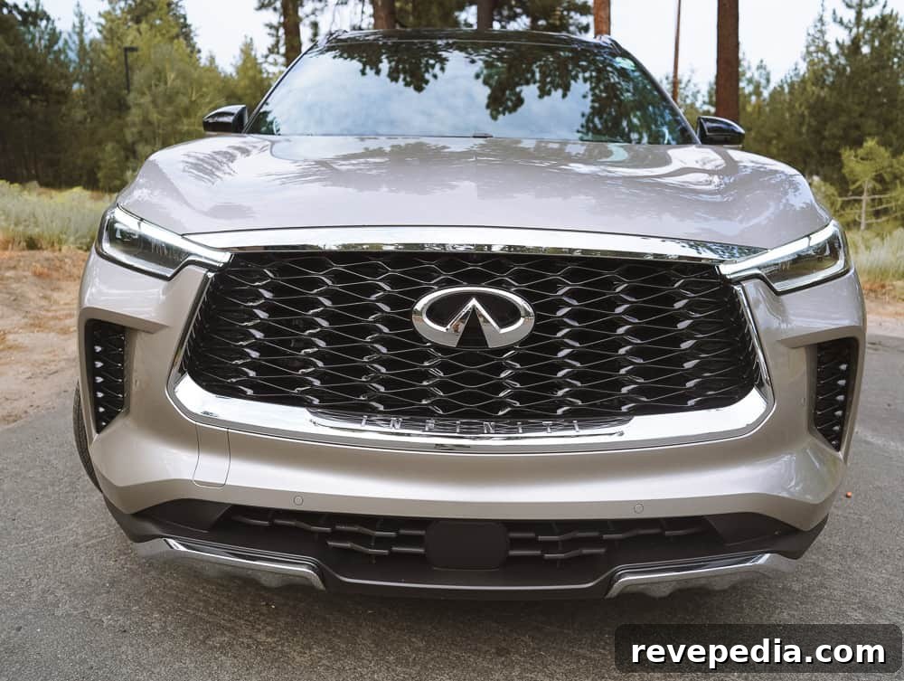 Lake Tahoe Road Trip in the Infiniti QX60: Scenic Drive Guide 14 QX60 photo 5