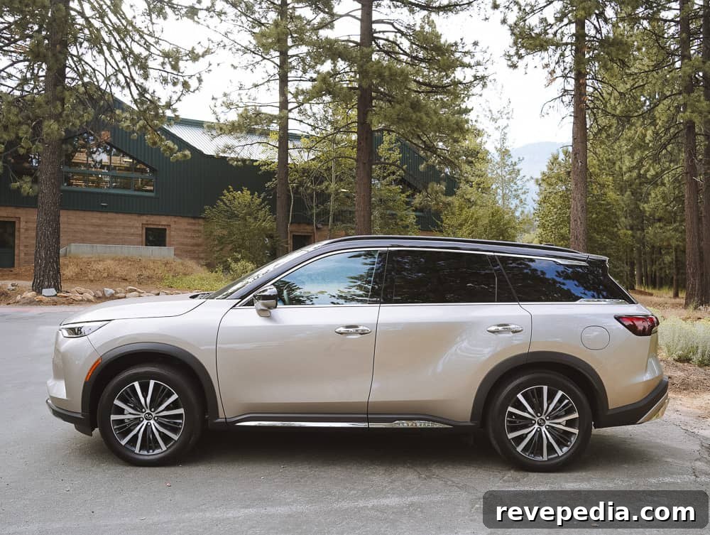 Lake Tahoe Road Trip in the Infiniti QX60: Scenic Drive Guide 22 QX60 photo 13