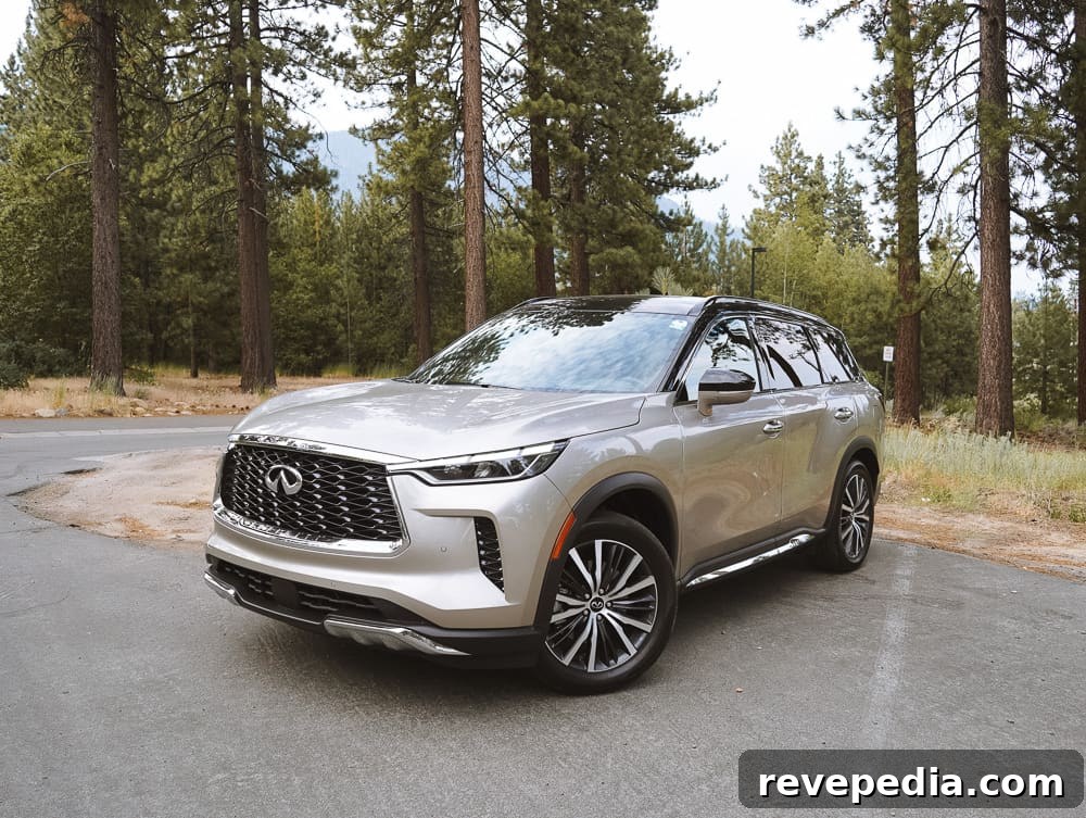 Lake Tahoe Road Trip in the Infiniti QX60: Scenic Drive Guide 10 QX60 photo 1